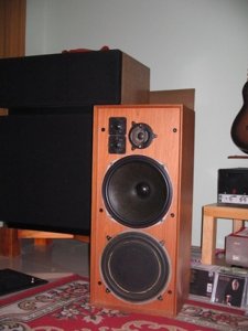 Celestion diton 25.jpg