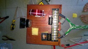 X-over Bi-wire.jpg