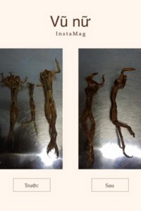 Vu Nu (400 x 600).jpg