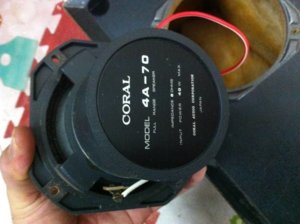 coral 4a-70 (1).jpg