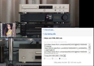 flickr1.JPG