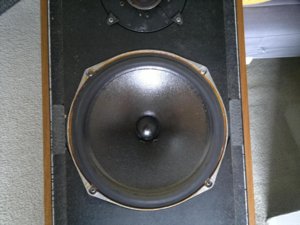 lNezzRD (Copy).jpg