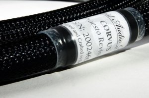 corvus.jpg