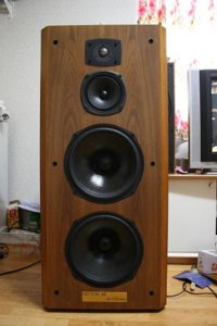 Ditton 88.JPG