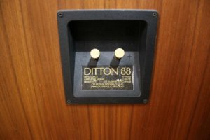 Ditton-88.JPG