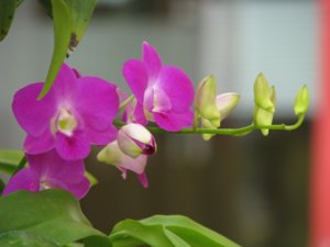 Picture 164.jpg