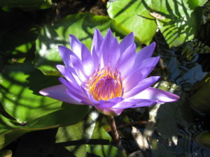 IMG_1357.JPG
