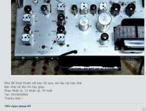 Pilot.JPG