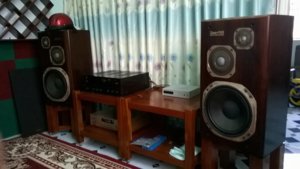 WP_20150830_003.jpg