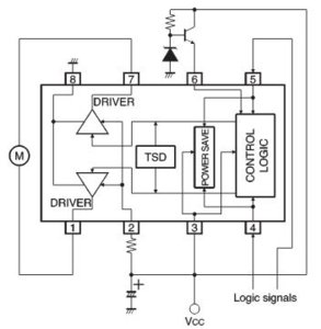 b3.JPG