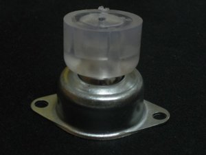 Mat trau & cuc nhua P2.JPG