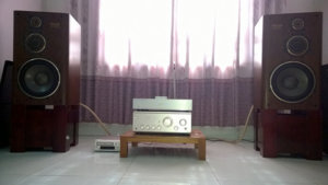 Diatone ds 2000hr + DAC MF A3.24 + AE.jpg