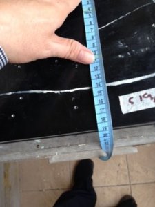 Tấm 5kg H6.JPG