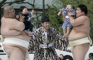 sumo.jpg