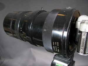 3348.jpg