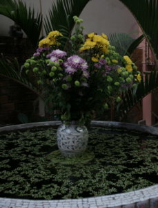 DSC00920.jpg
