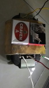 IMG_20160312_322.jpg