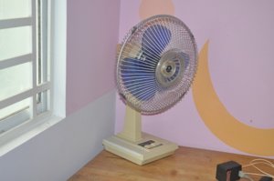 DSC_0255.JPG