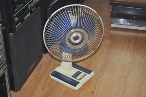 DSC_0257.JPG