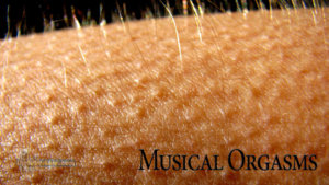 Musical-Orgasms.jpg