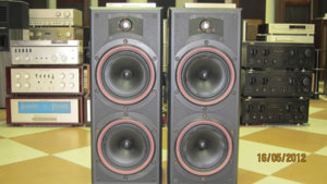 BW DM-320.jpg