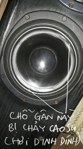 tannoy 638-1.jpg