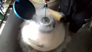 Ngâm nitrogen lỏng 3.jpg