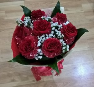 WP_20160913_23_32_22_Pro.jpg