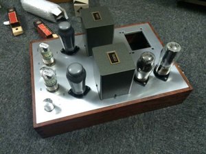 Amp AL5 SE P1.jpg