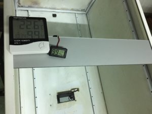 IMG_7188.JPG
