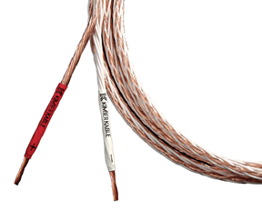 8tc_cable.gif