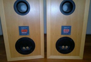 11dynaudio-contour-1-foto-bild-b117914591.jpg