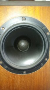 20170428_115649.jpg
