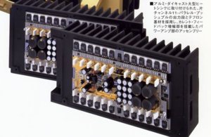 p-1000(2).jpg