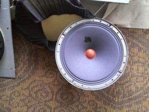 IMG_1294.JPG