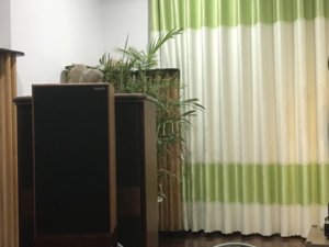 IMG_0378.JPG