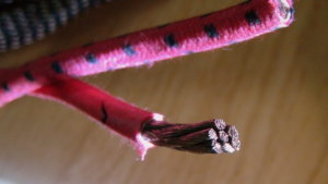 DSC00548.JPG