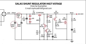 Salas_shunt_QH.jpg