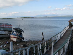 After the storm.jpg