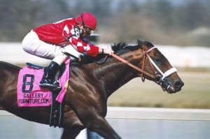 Horse_Racing_winning-system.jpg