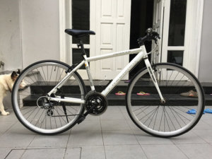 Xe đạp Precision trắng.jpg