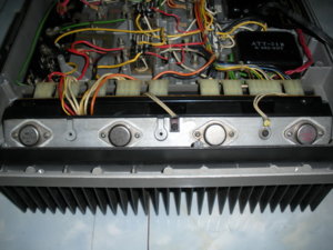 DSCN01381.jpg