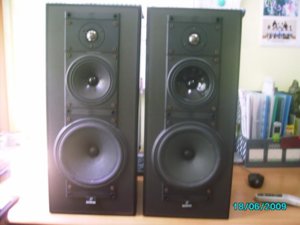 Celestion11.jpg