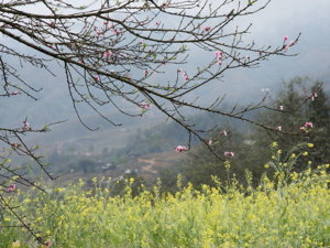 IMG_44801.JPG