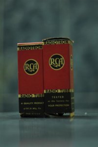 DSC_0407 (Medium).jpg