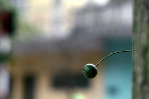 IMG_3451jpa.jpg