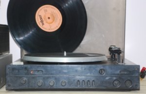 DSC_0375.JPG