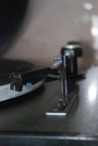 DSC_0364.JPG