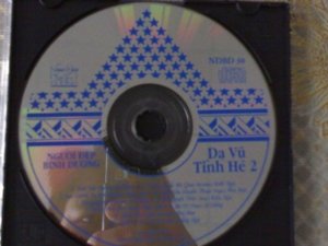 DA VU TINH HE 2 (401 x 301).jpg