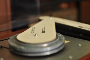DSC_0348 (Small).JPG